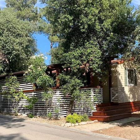 Pine And Lavander Home Biograd Na Moru Bagian luar foto